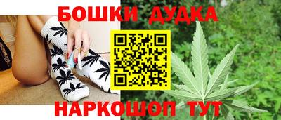 индика Краснознаменск