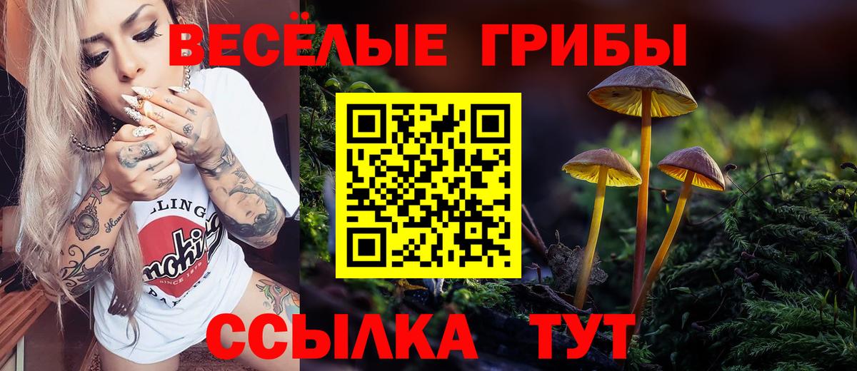 Галлюциногенные грибы прущие грибы  цены наркотик  Ярославль  Псилоцибиновые грибы прущие грибы  Вход с VPN 